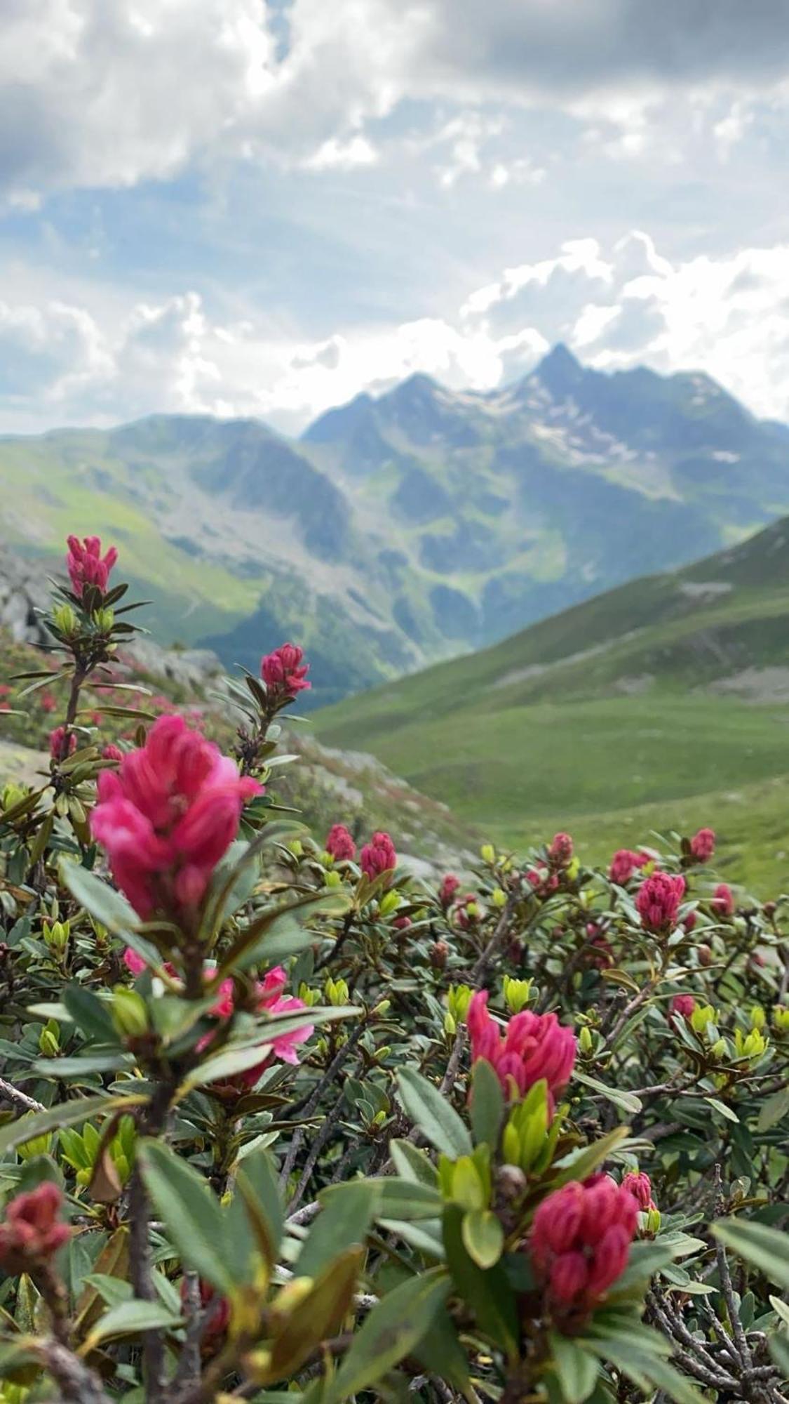 Hotel Larch Campo di Trens Kültér fotó