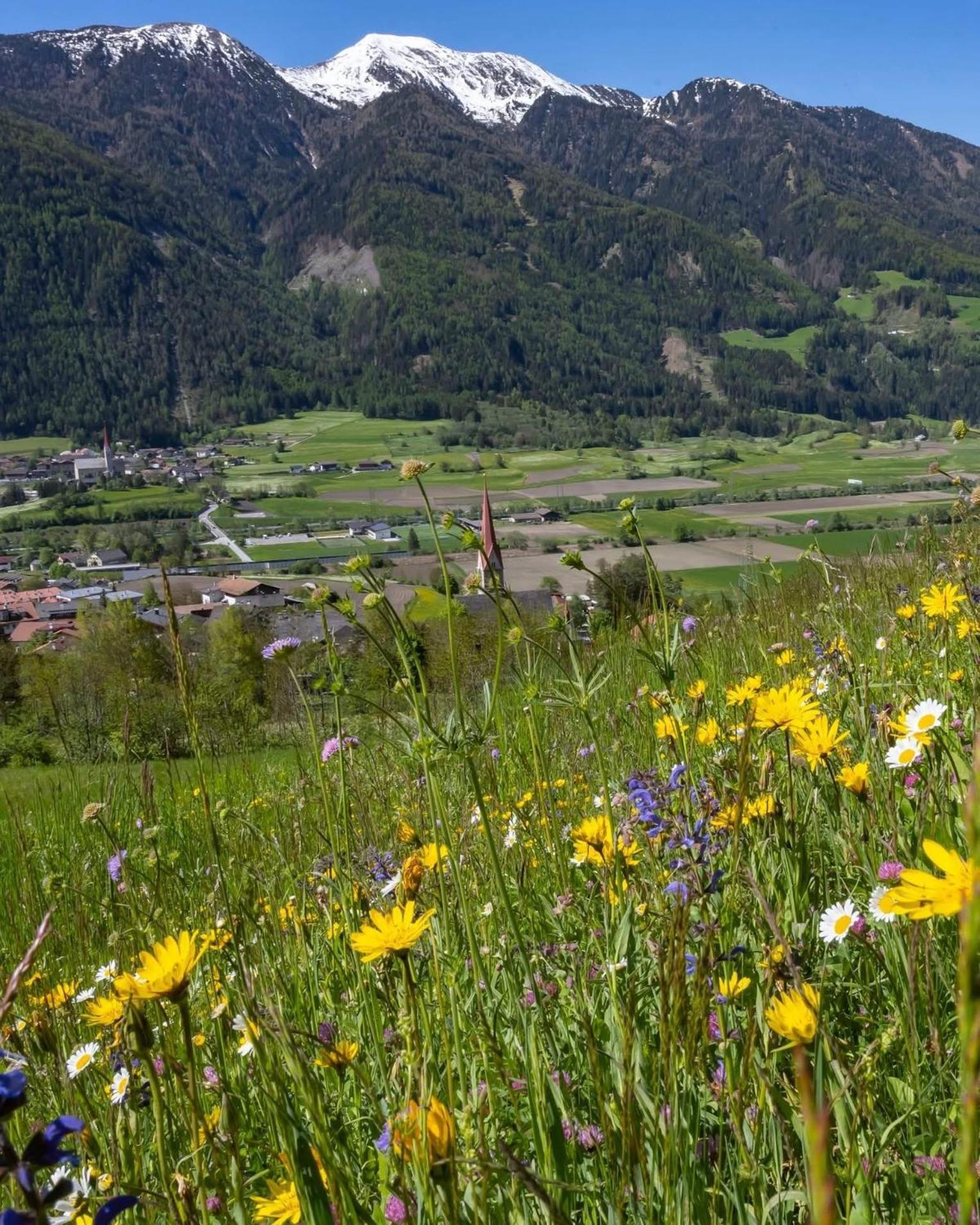 Hotel Larch Campo di Trens Kültér fotó